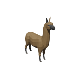 Alpaca